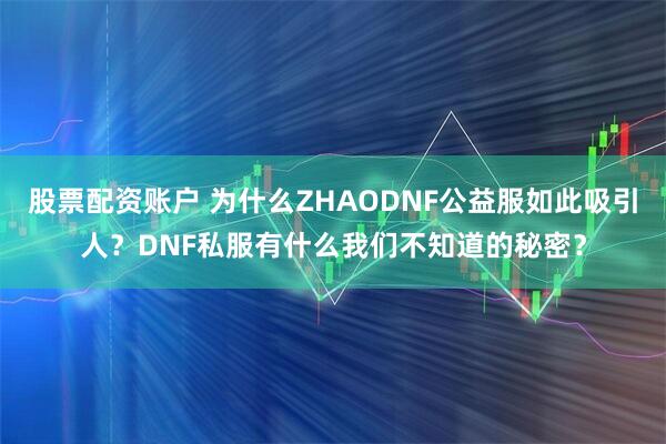 股票配资账户 为什么ZHAODNF公益服如此吸引人？DNF私服有什么我们不知道的秘密？