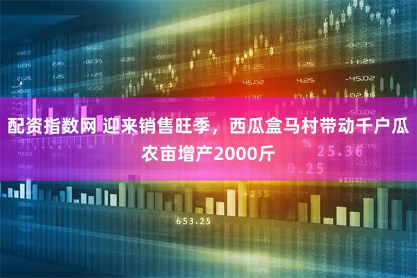 配资指数网 迎来销售旺季，西瓜盒马村带动千户瓜农亩增产2000斤